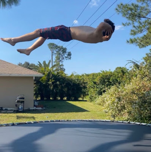 Meet your Posher, Riley - Picture 1 of 1